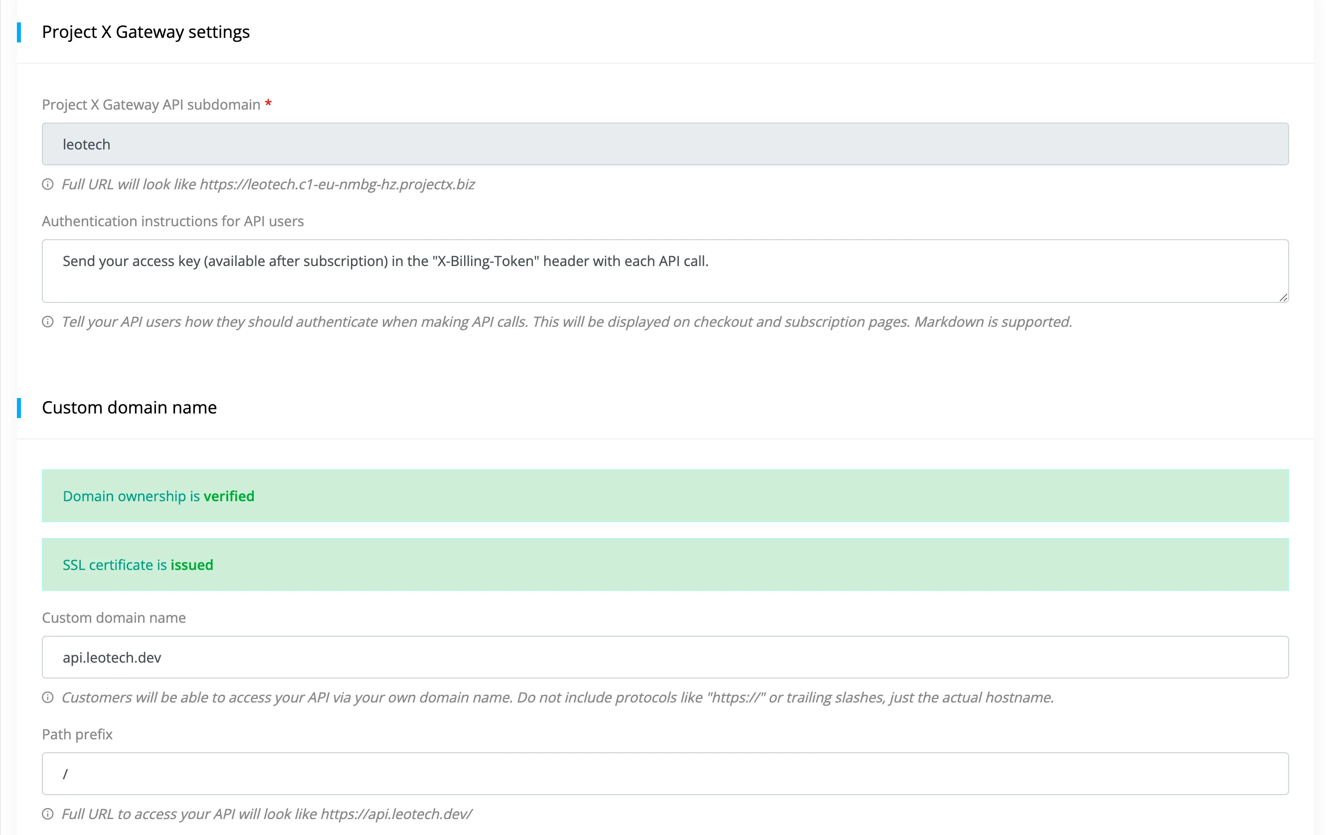 Custom domain name setup